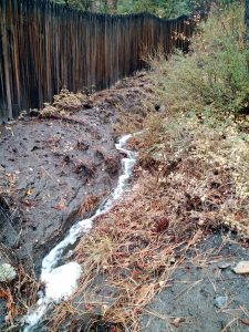 Existing Douglas Blvd. Ditch