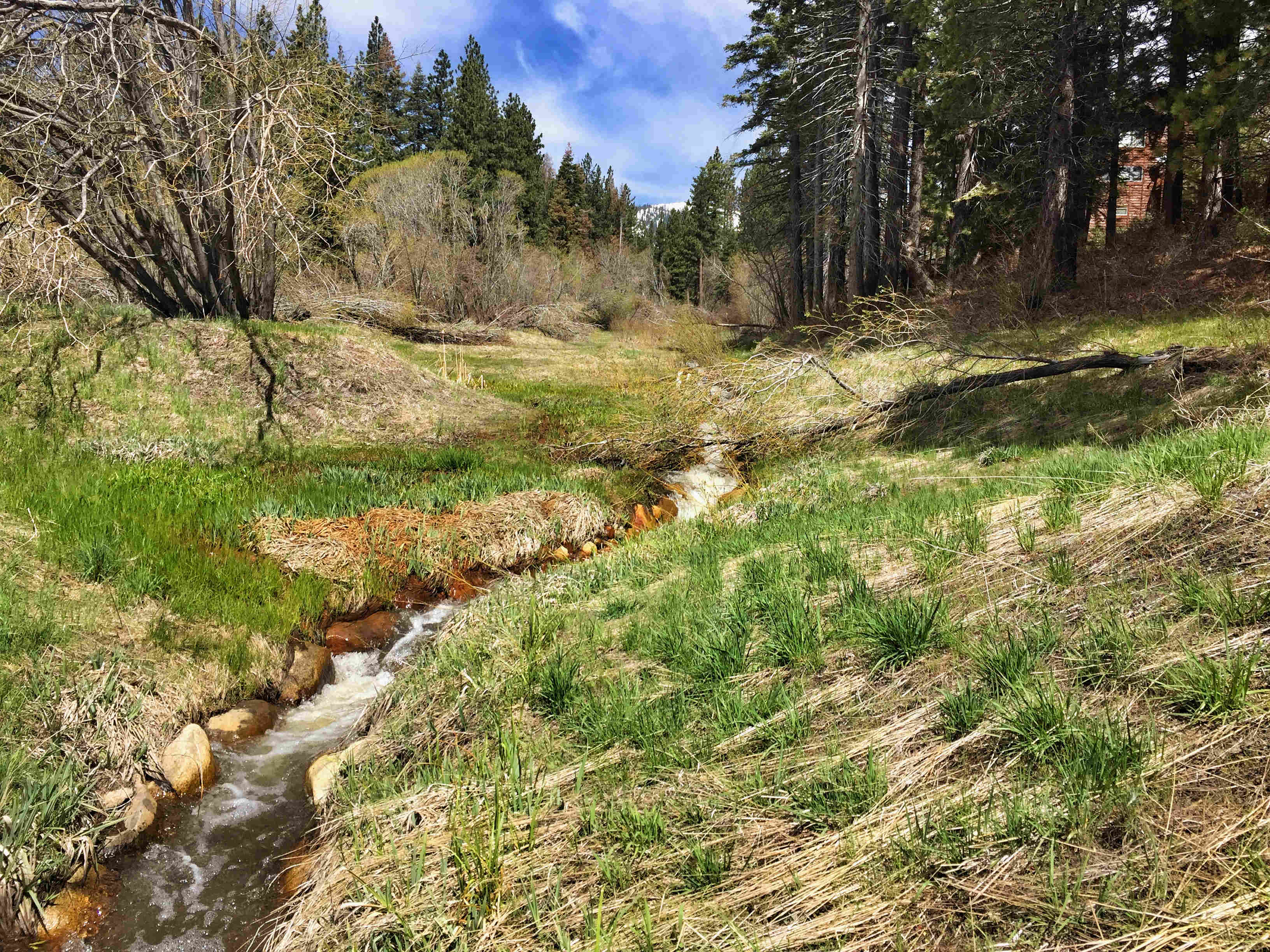 Rosewood Creek Nevada Tahoe Conservation District