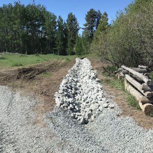 New Ditch