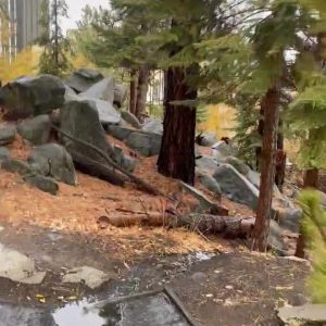 Stormwater drainage into sloped area